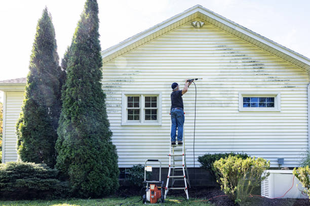 Best Deck Cleaning Services  in Oriska, NY